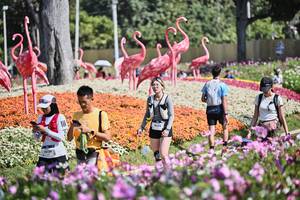 BIB: 
                            <button type="button" onclick="openModal(27794339)" class="btn btn-primary btn-sm float-right btn-popup" data-toggle="modal" data-target=".modal-high-quality">
                        <i class="fas fa-shopping-cart"></i> Add to Cart
                    </button>
                                            <button type="button" onclick="isThisMe(27794339, true)" class="btn btn-success btn-sm float-right btn-popup btn-isme hidden" data-toggle="tooltip" data-placement="bottom" title="นี่คือรูปของคุณใช่ไหม คลิกที่นี่เพื่อเอาเข้าอัลบั้ม">
                        <i class="fas fa-plus"></i> Add to album
                    </button>
                    <button type="button" onclick="isThisMe(27794339, false)" class="btn btn-warning btn-sm float-right btn-popup btn-isnotme hidden">
                        <i class="fas fa-ban"></i> Remove from album
                    </button>